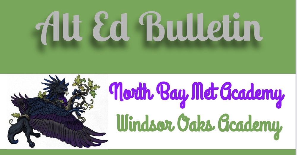 Weekly Bulletin