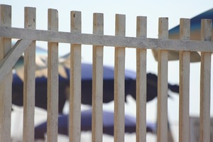 Fencing