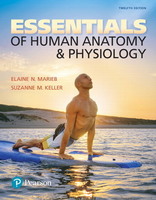Essentials Human Anatomy & Physiology