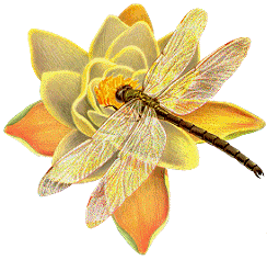 Small_eb0c1328-4808-450c-8661-d959d21d7b46